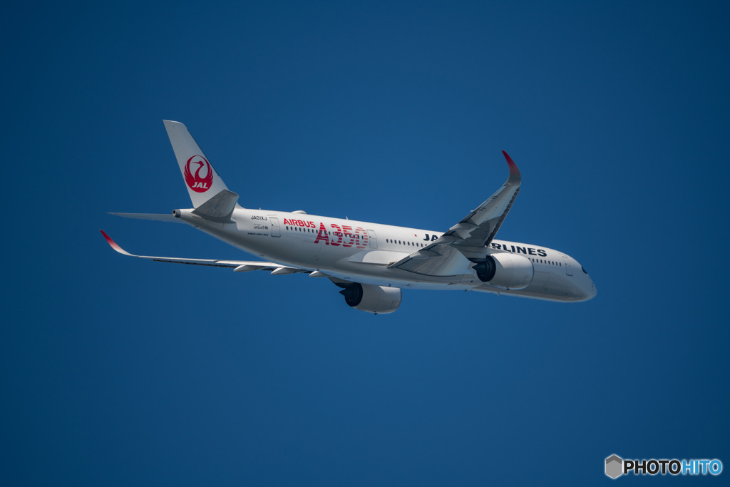 JAL A350-900 城南島