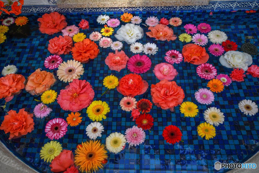 浜松フラワーパーク内の一コマ