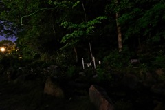 幻想的な感じ