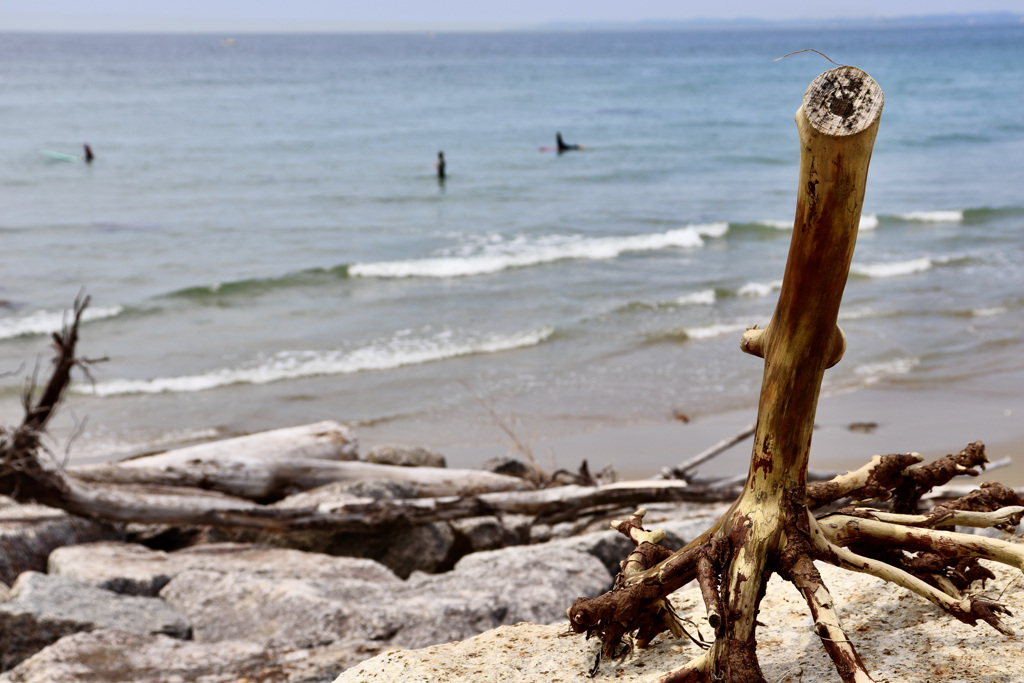 伊良湖岬　その４