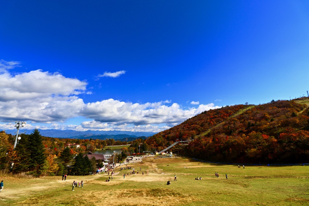 茶臼山高原へ行ってきました。