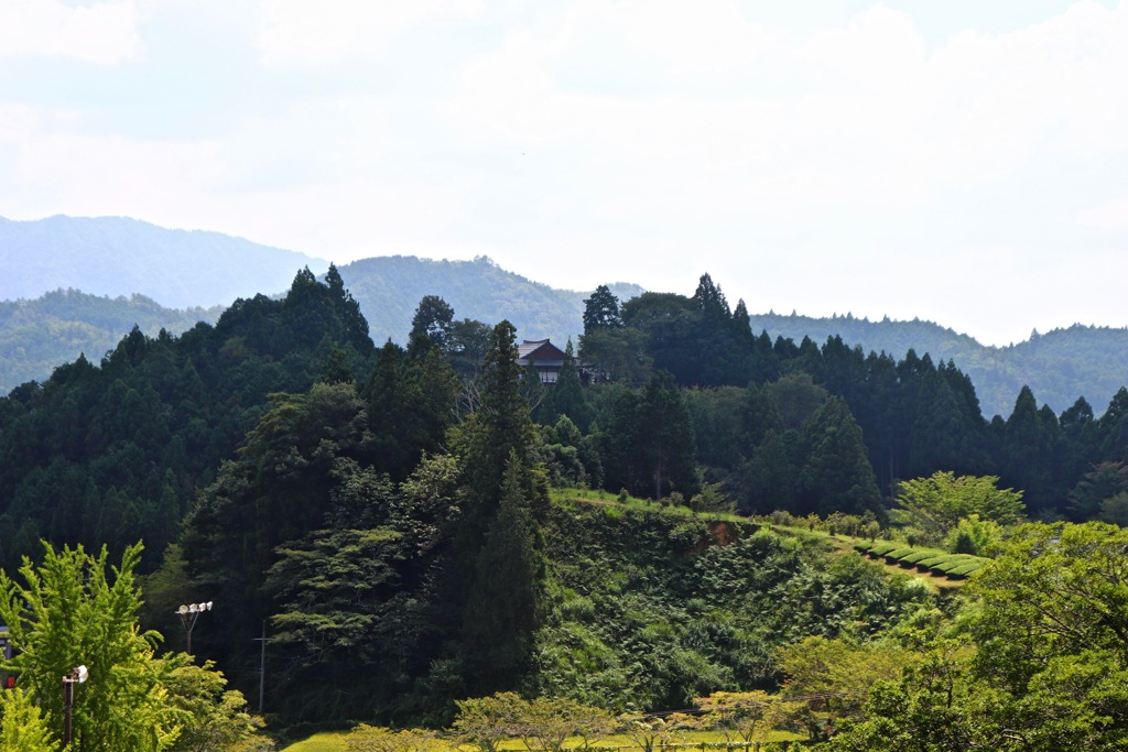 田峰城