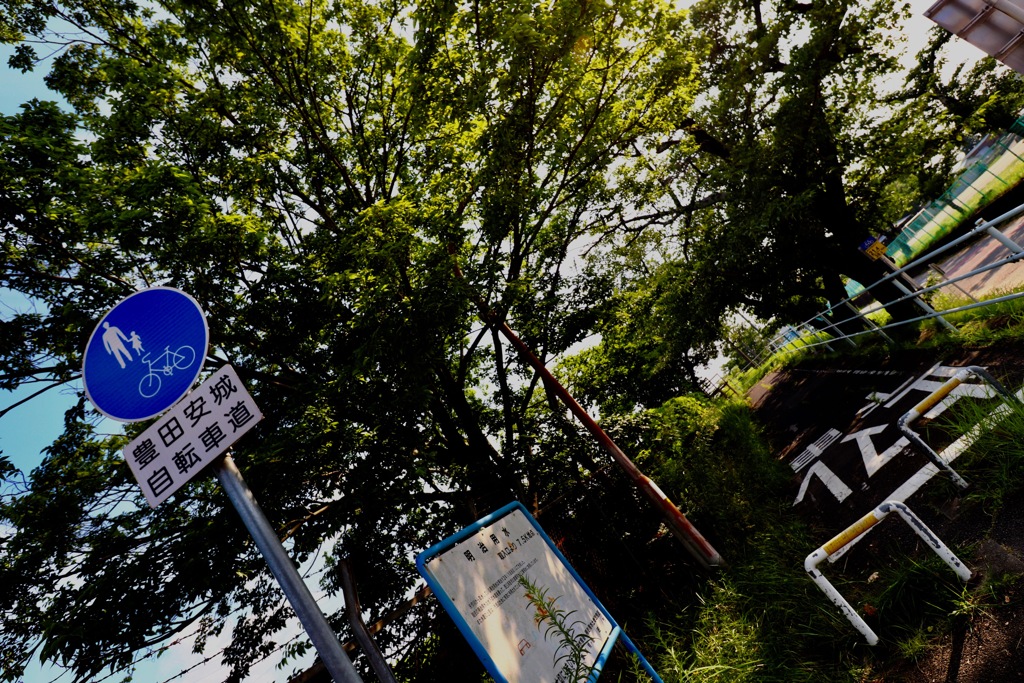 自転車道の入り口