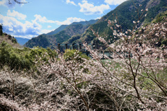 佐久間ダムの風景