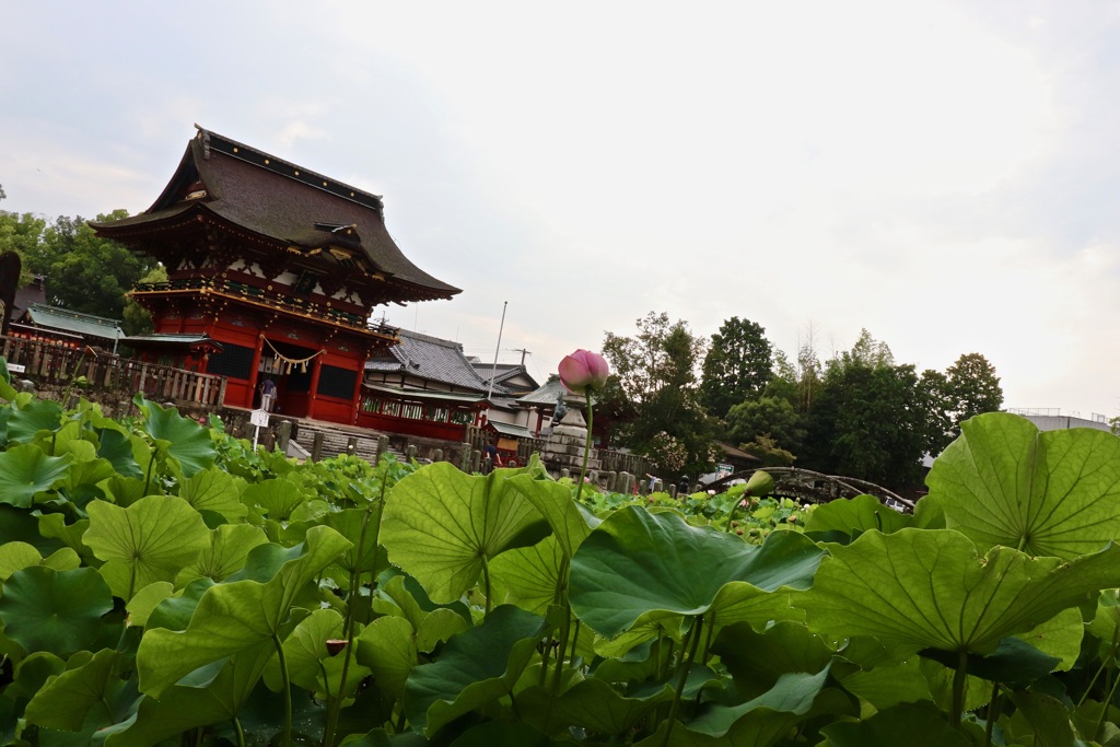 伊賀八幡宮