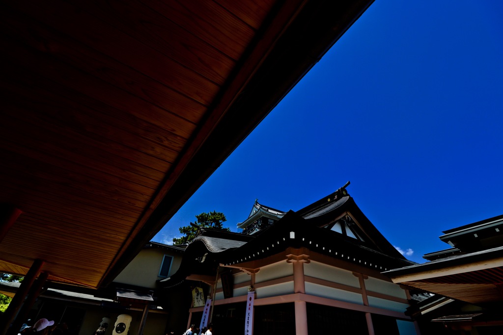 岡崎城のある風景_１