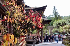 小國神社_4