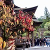 小國神社_4