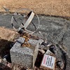 昭和の森を散策_2