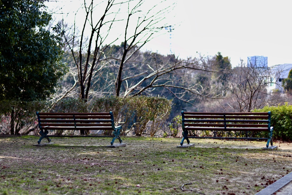 平芝公園　梅満開を待つ・