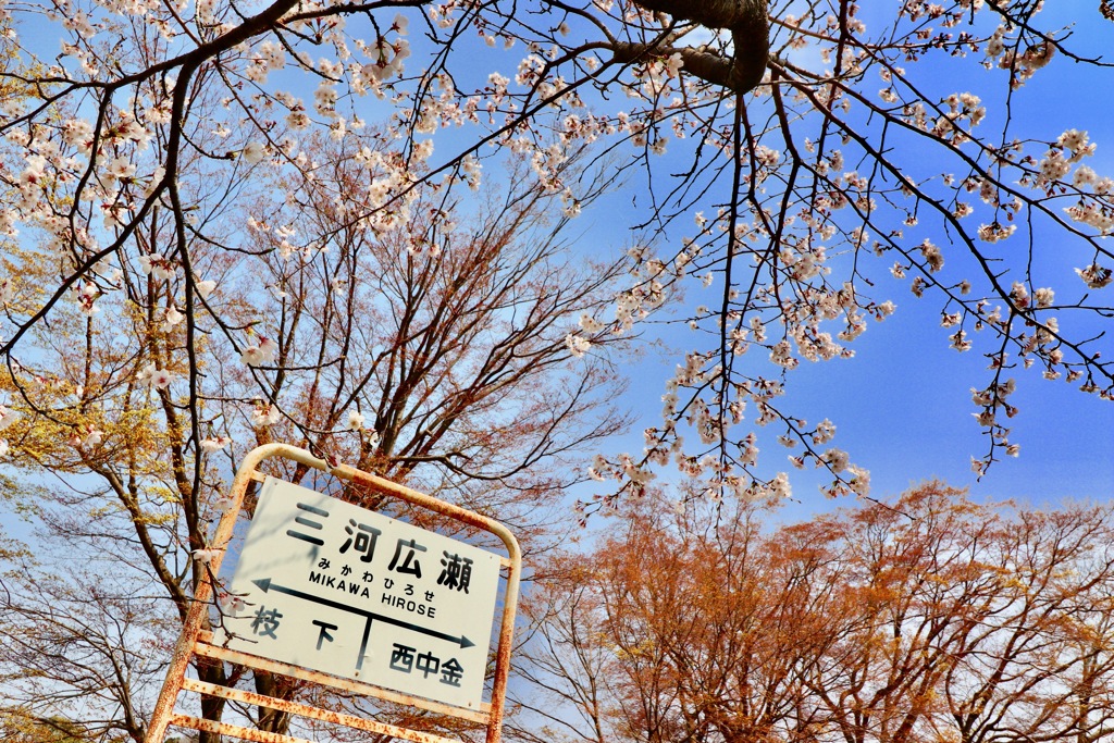 廃線　三河広瀬駅２