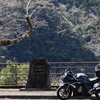佐久間ダムへ行ってきました。