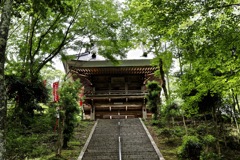 薬師寺　切り取り_５