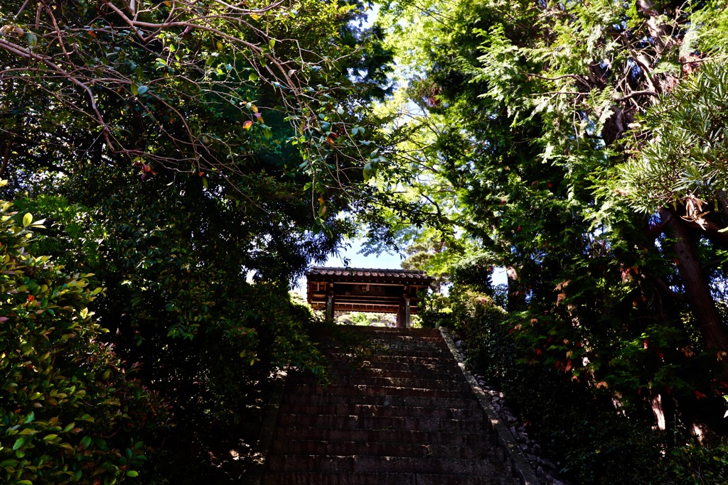 華蔵寺_１
