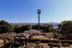 平芝公園へ行ってきました