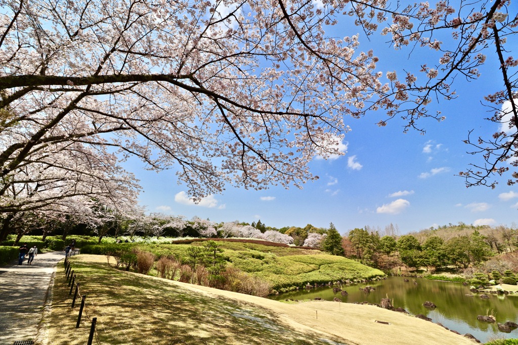 愛知県昭和の森