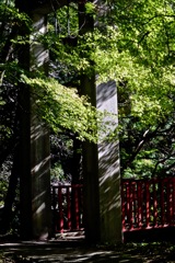 王滝渓谷を散策_５