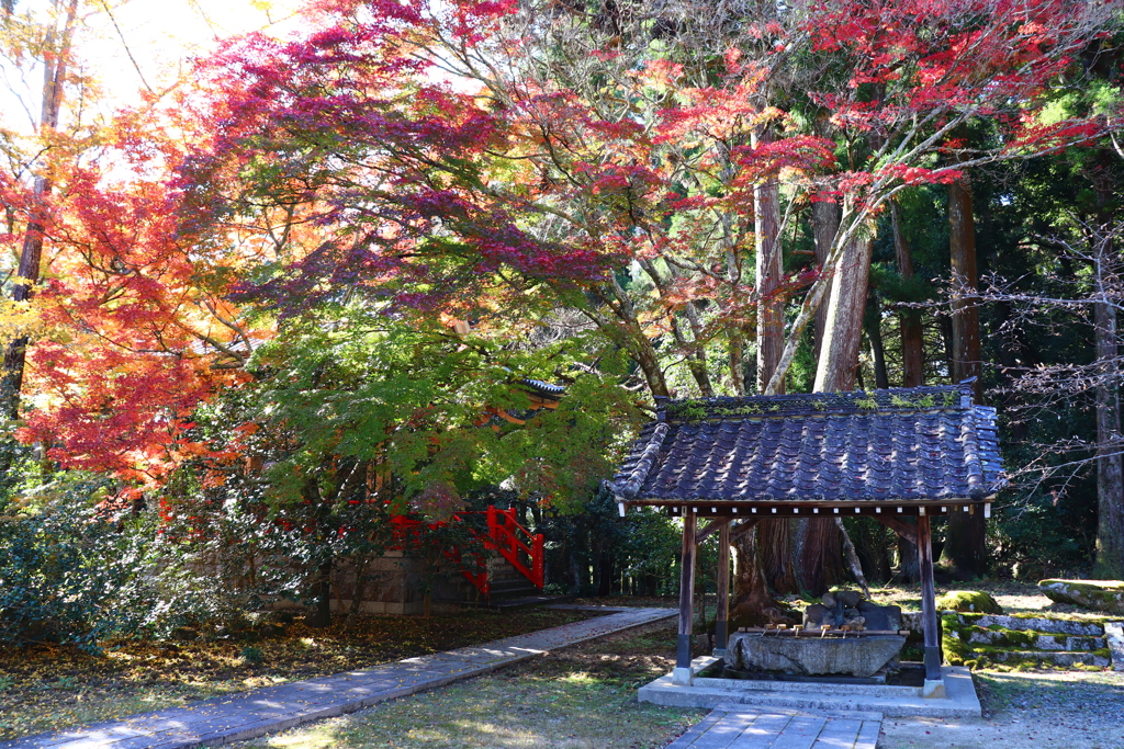 雲興寺　その４