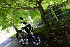 野原川で休憩