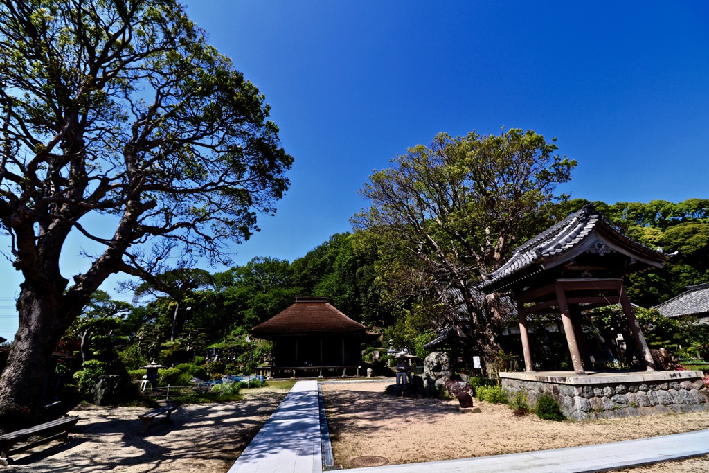 国宝　金蓮寺弥陀堂_３