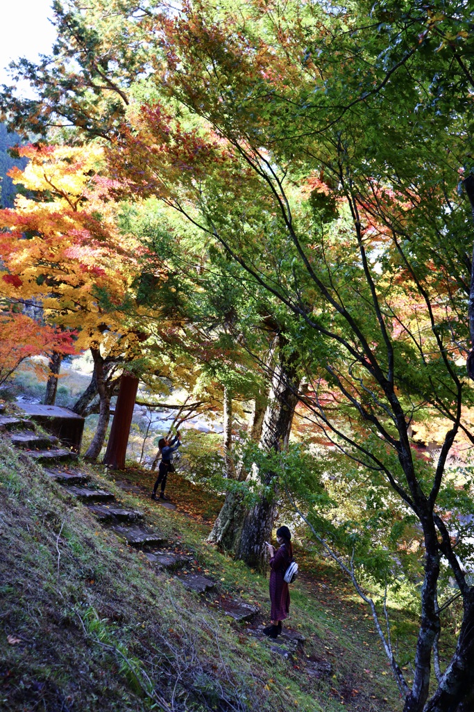 秋を楽しむ風景_1