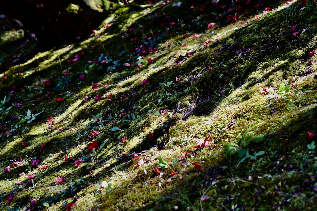 雲興寺　その１