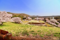 今日は鞍ケ池公園です。