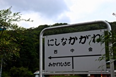 にしなかがね_２