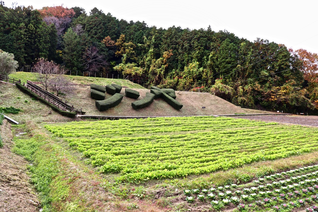 「ジンヤ」！