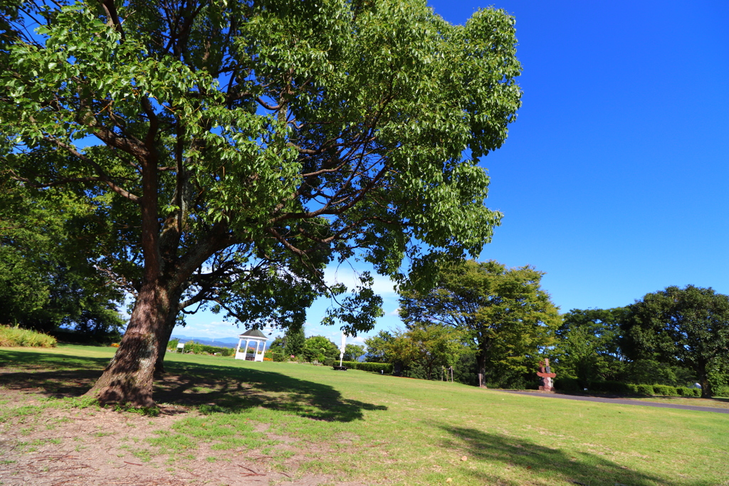 避暑地にいった風の写真が撮りたかった。