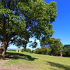 避暑地にいった風の写真が撮りたかった。
