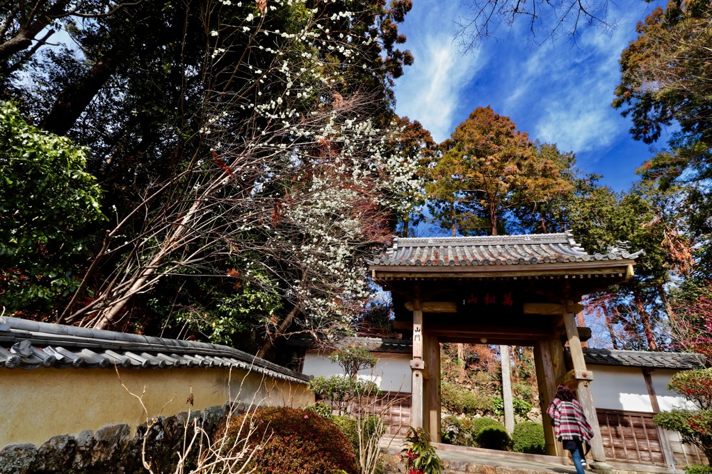龍潭寺の大門
