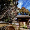 龍潭寺の大門