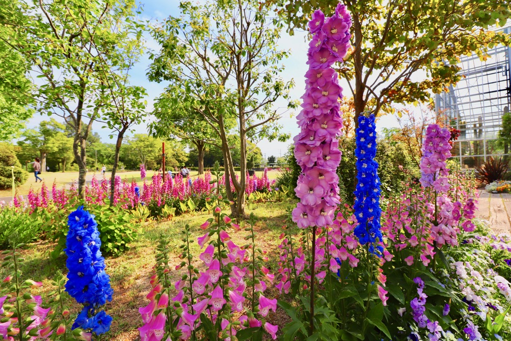 西山公園