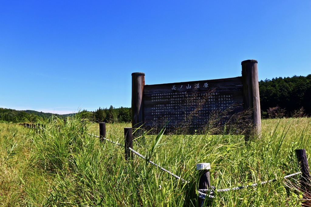 長ノ山湿原へ行ってきました。