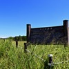 長ノ山湿原へ行ってきました。