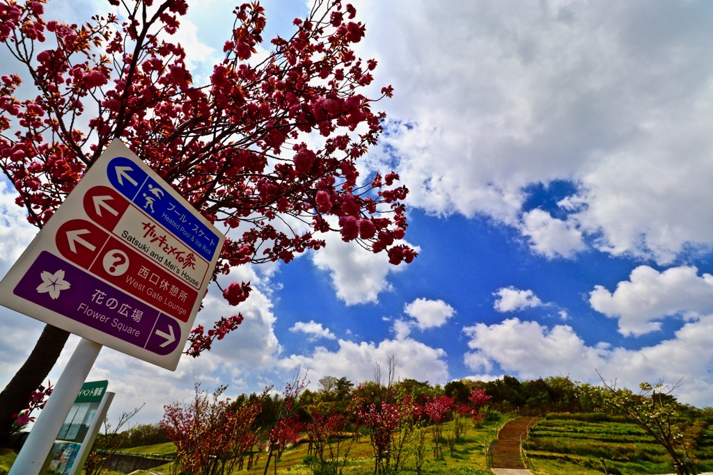 愛・地球博記念公園（モリコロパーク）へ行ってきました！