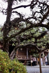 小國神社_3