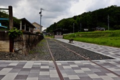 西中金駅