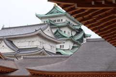 名古屋城を望む