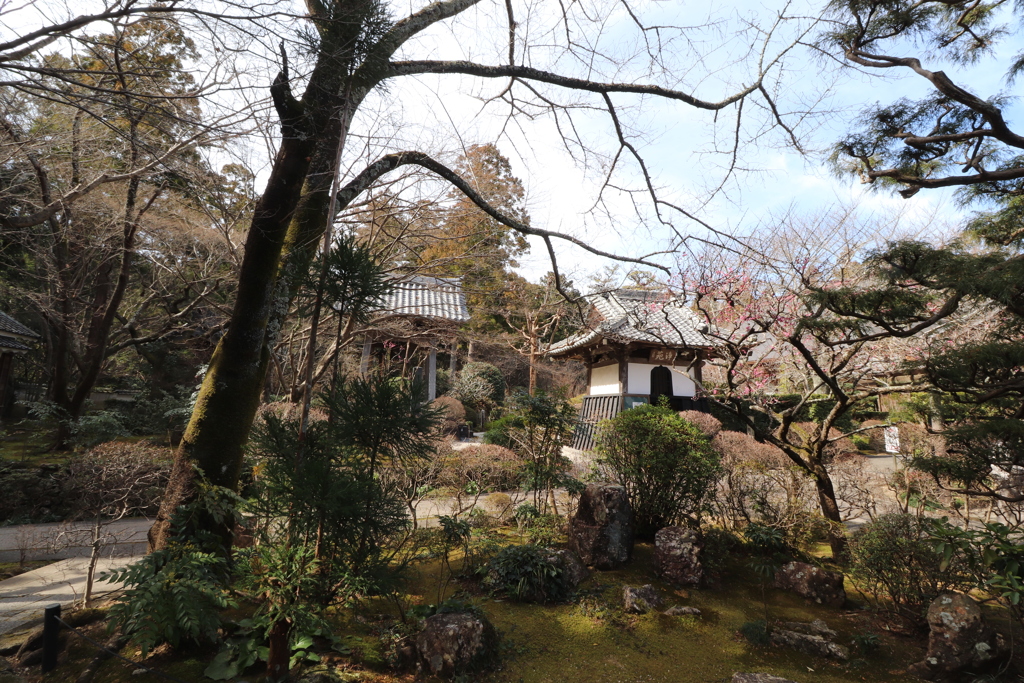 龍潭寺の鐘楼堂