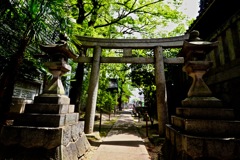 菅生神社_４