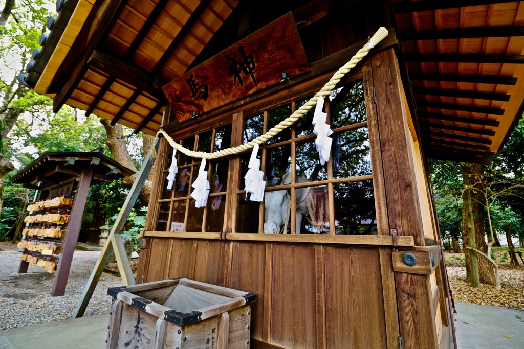 知立神社　馬神が見ている