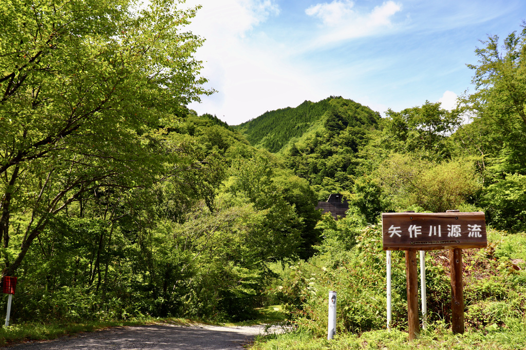 矢作川源流（平谷村）へ行ってきました。