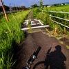 自転車道へ