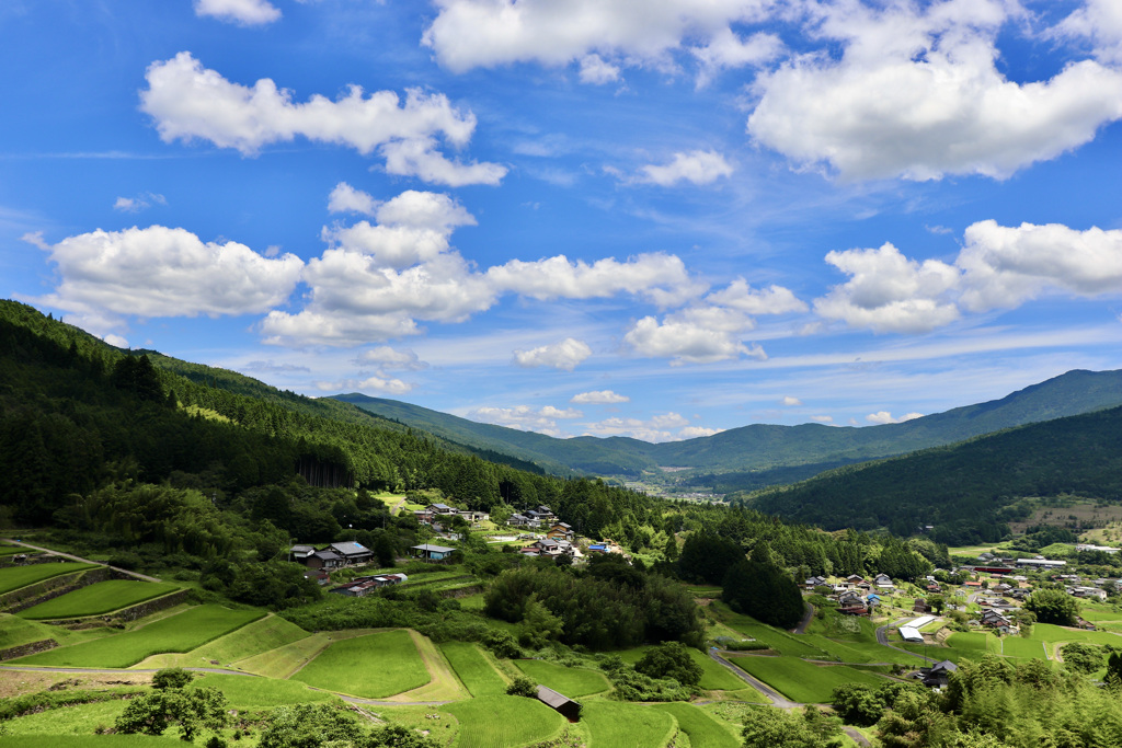 今日は坂折棚田へ行ってきました。