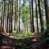 長ノ山湿原_２