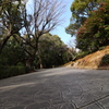 岩崎城址公園