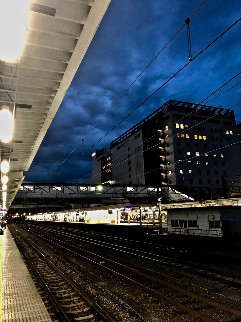 出張シリーズ_八王子駅