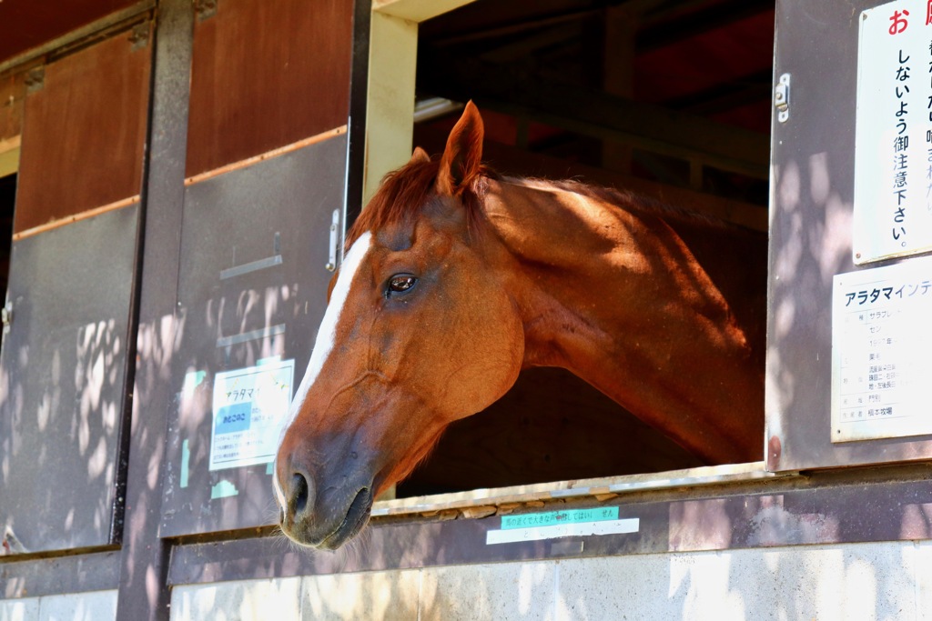 何を想っているの？